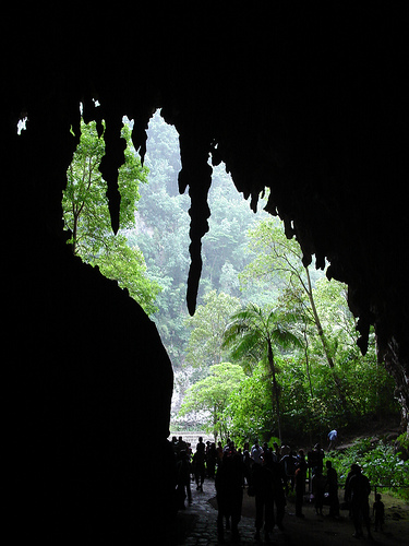 Cueva del Guácharo